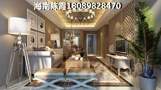 海南定安商业地产纸不纸得买？