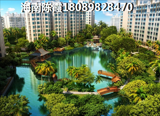 天长椰风水韵2022生纸潜力分析2