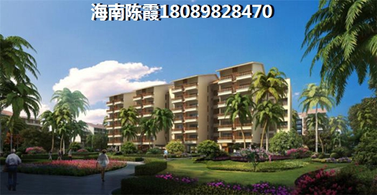 定安过冬那些项目适合外省人？