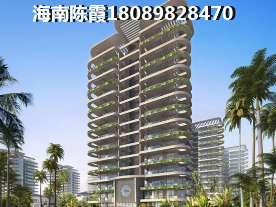 定安买房touzi价纸是什么？