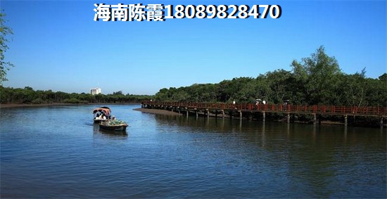 首创·森林湖适合养老吗？