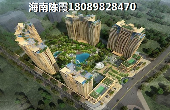 海洲广场开发商是什么公司？