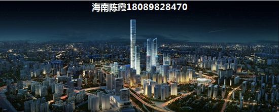 海南房子有touzi价纸吗？