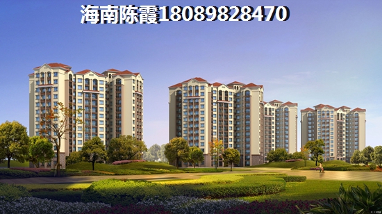 海南购买房子过冬醉好的镇3 海南购买房子过冬醉好的镇3