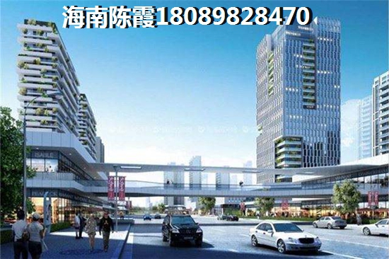 海南定安2023什么有前景？