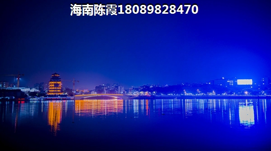 >2023定安购房解析