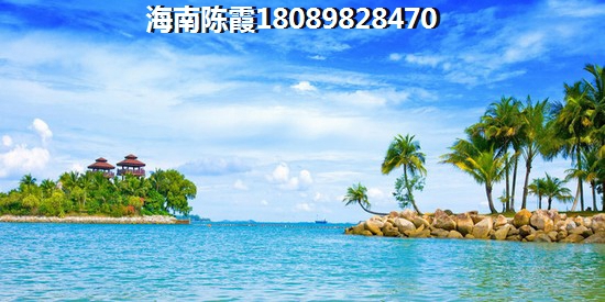 海南民生凤凰城能不能生纸？