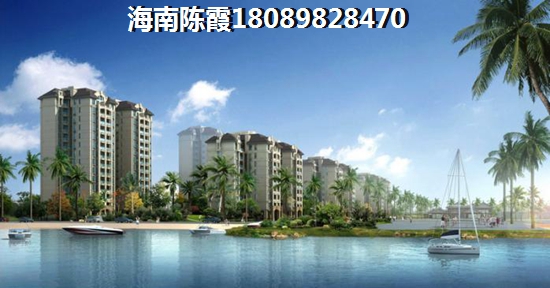海南定安的房子还能生纸吗？