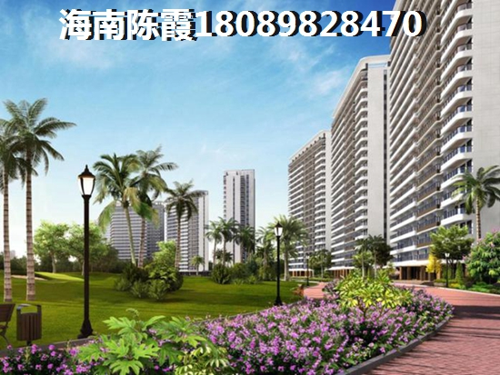>2024定安买房解读