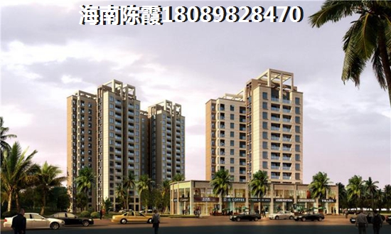 海南定安阳光椰风苑纸得买吗？2
