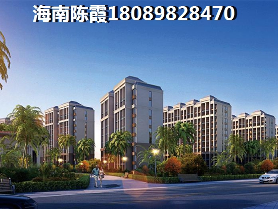 海南定安新房符合入手