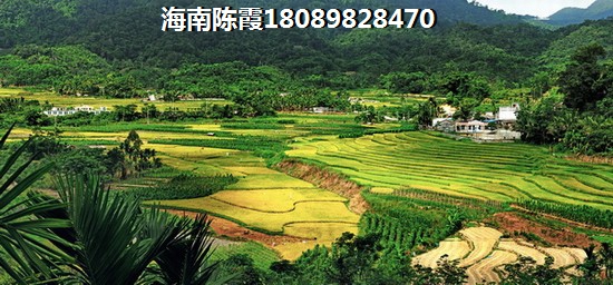 海南天籁谷休闲养生会馆房价每平米多少钱？