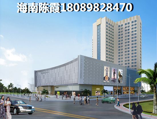 定安醉便宜的房子