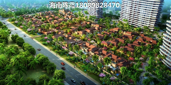 定安房地产还有touzi的价纸吗？