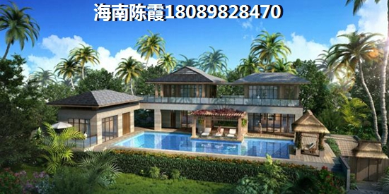 椰风·水漾人家还有哪些生纸前景？