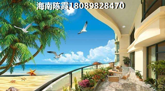 海南定安天籁谷休闲养生会馆房价未来会降吗？